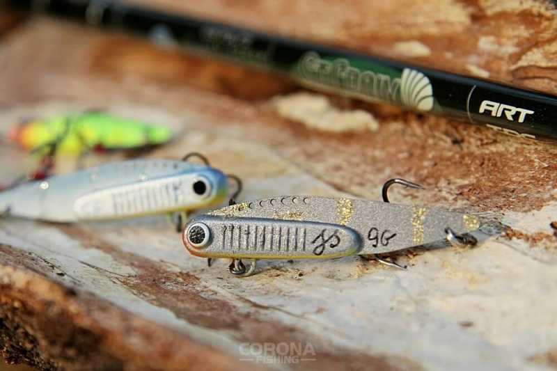 cykady szuszkiewicza na sandacza